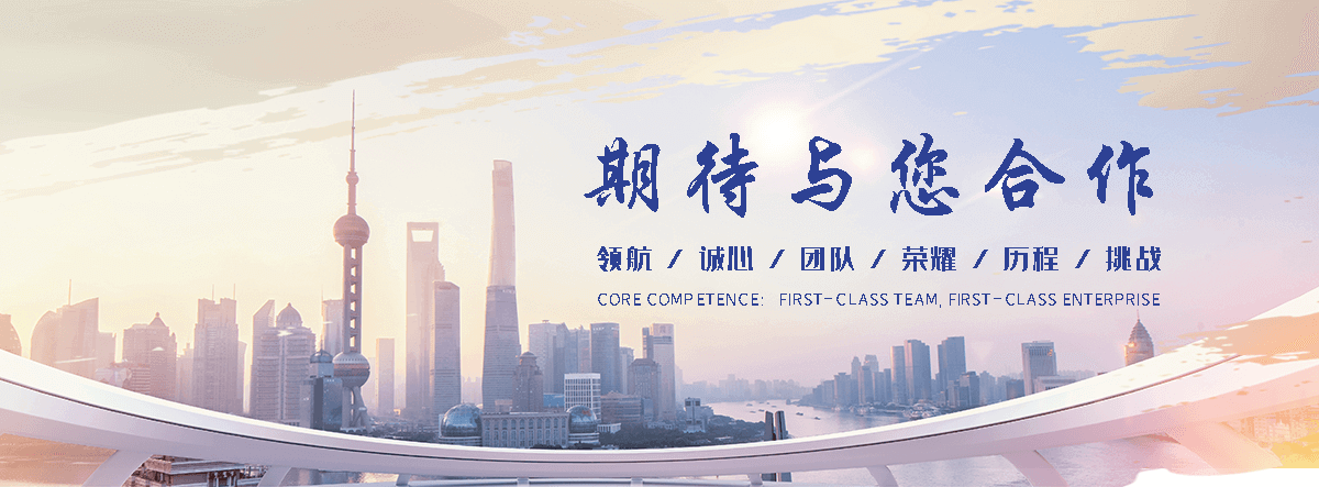 淮南海狮租赁公司